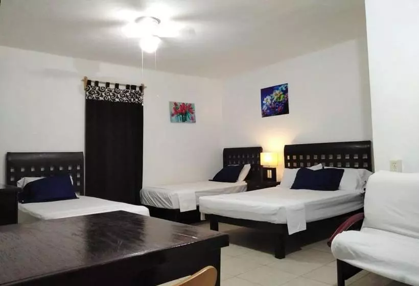 هاستل Posada San Cristobal