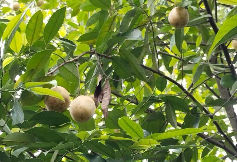 فندق Philip Mary Farm Stay