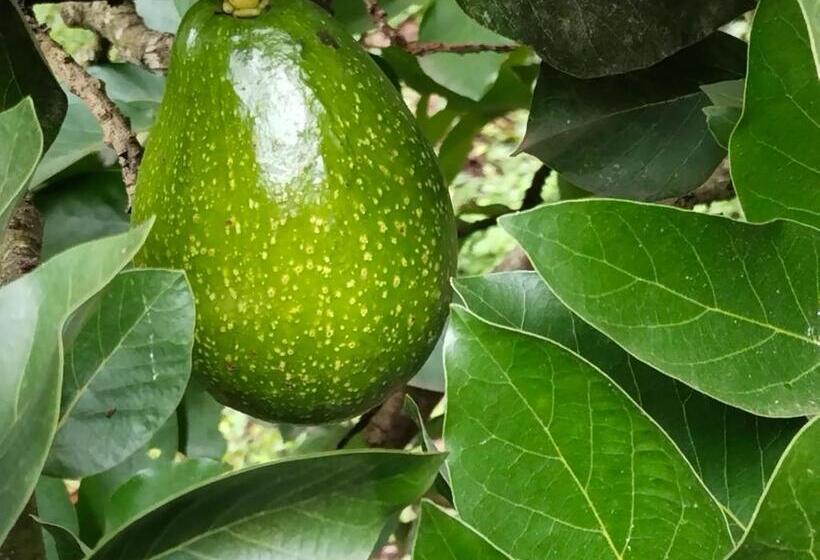 فندق Philip Mary Farm Stay