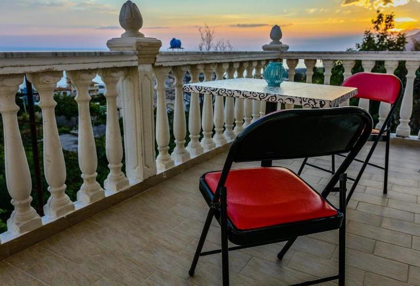 پانسیون Dorvin Apartments