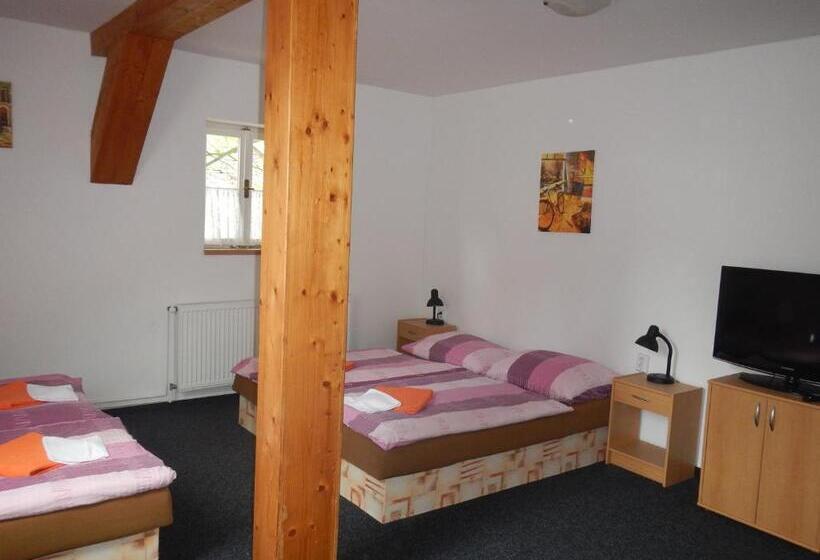 펜션 Penzion Pod Třešňovkou