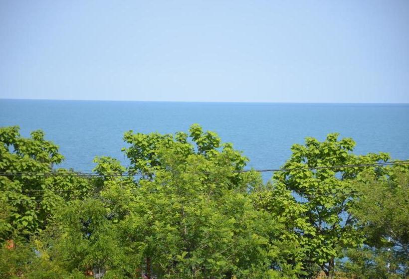 膳宿费 Razvan Holiday