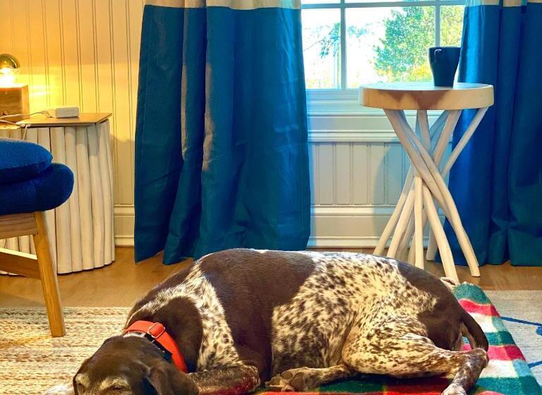 Szálló Great Island Inn   A Modern Boutique