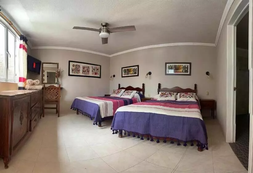 پانسیون Casa Tecolote