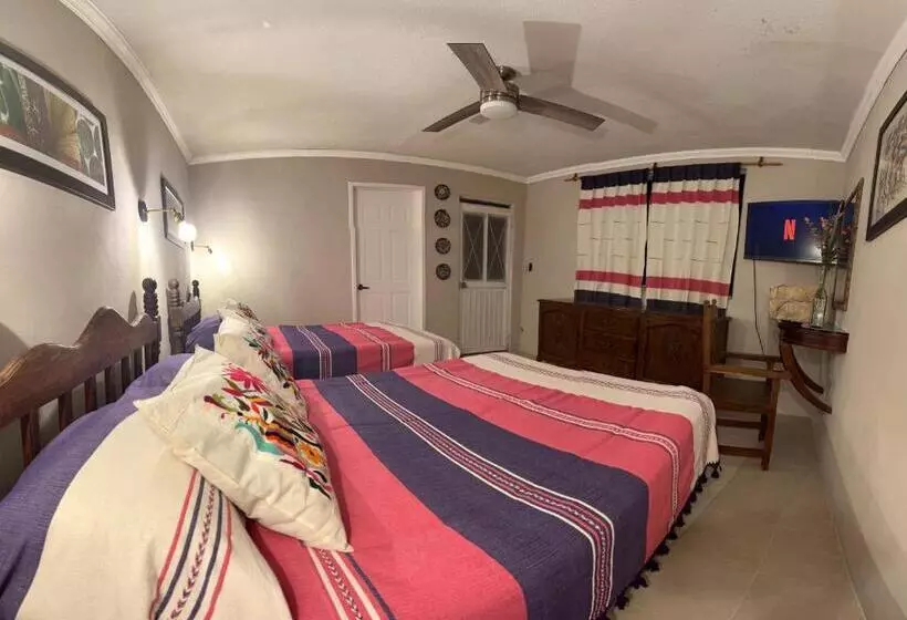 پانسیون Casa Tecolote