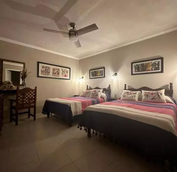 پانسیون Casa Tecolote