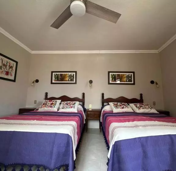 پانسیون Casa Tecolote