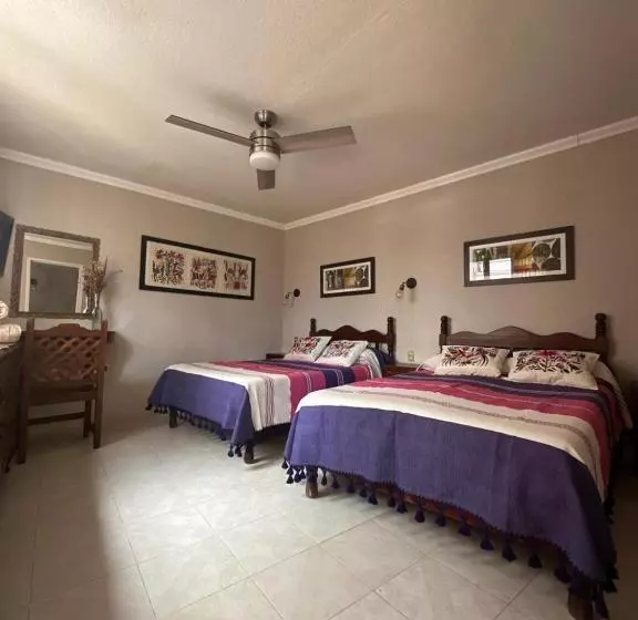پانسیون Casa Tecolote