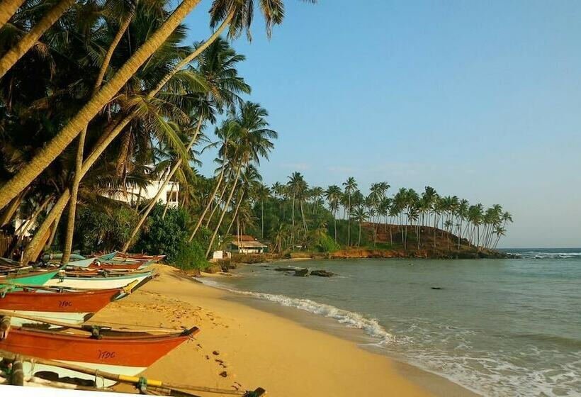 پانسیون Eliyana Guest House