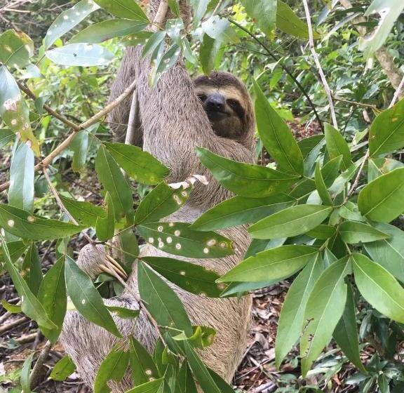 Пансион Ukinca B&b