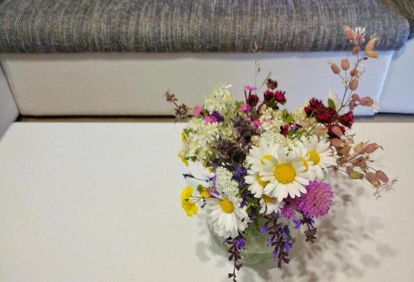 پانسیون Cabarkapa Guesthouse