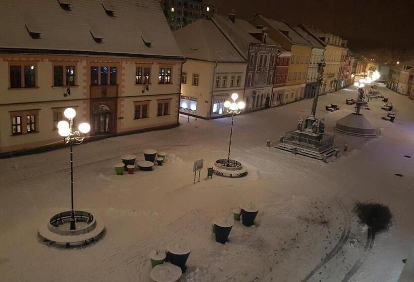 پانسیون Penzion Piano & Apartment Sokolov