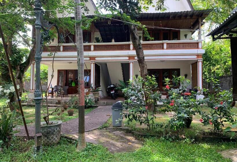 بنسيون Studio Lumbung