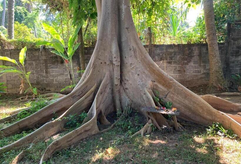 بنسيون Studio Lumbung