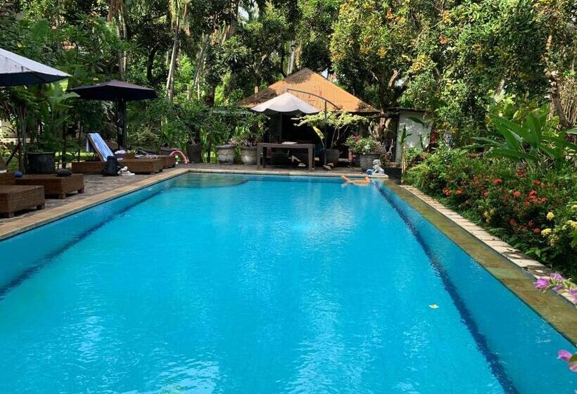 بنسيون Studio Lumbung