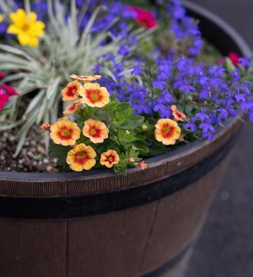 Общежитие Clear River Inn And Tavern