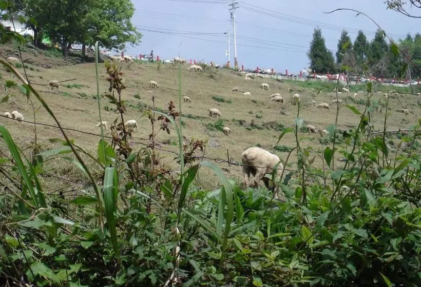 هتل Winlu Vacation Farm