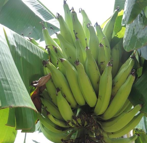 پانسیون Chez Rustine Et Pompette