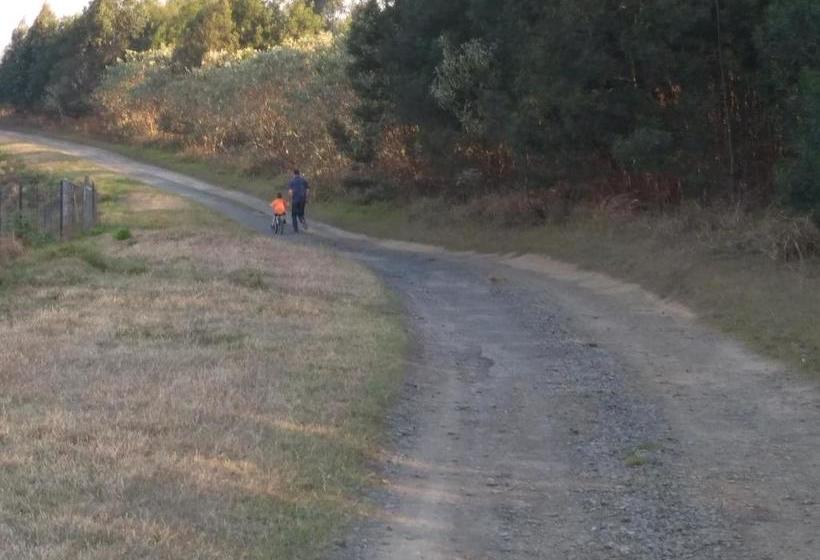 Hotelli Farmstrong Accommodation