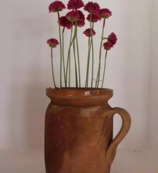 ペンション Arácsi Vendégház