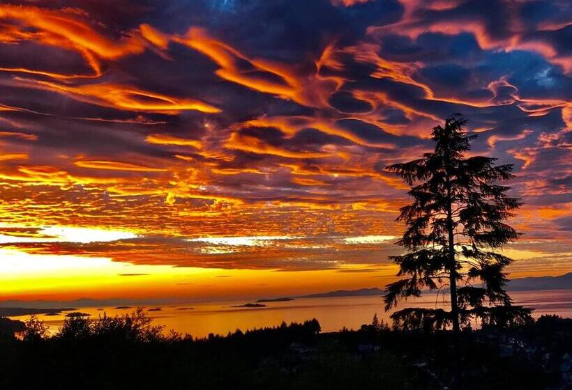 Pensionat Ocean Melody Vacation Rooms