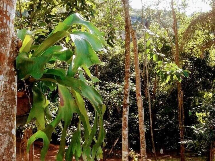 Пансион Pousada Ouro Do Vintem