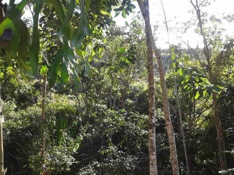 Пансион Pousada Ouro Do Vintem