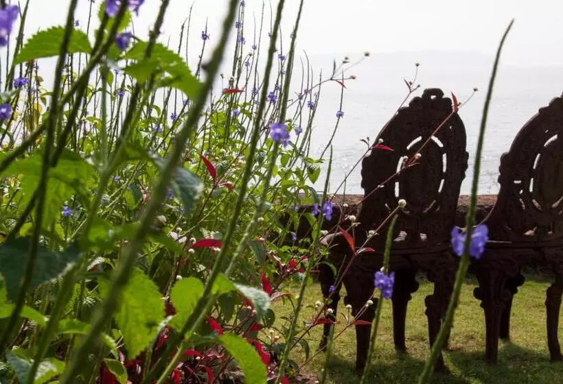 リゾートホテル Ahilya By The Sea