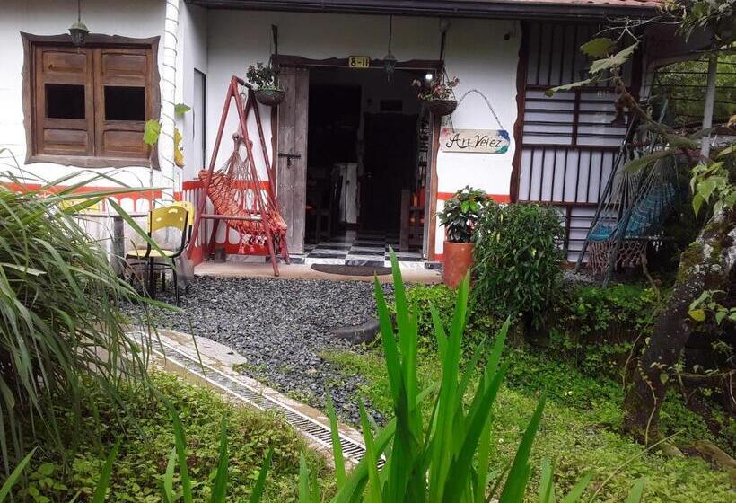 펜션 Hostal Casa Artvelez