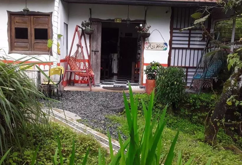 ペンション Hostal Casa Artvelez