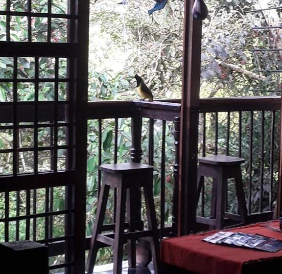 펜션 Hostal Casa Artvelez