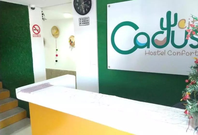 Cactus City Hostel Confort