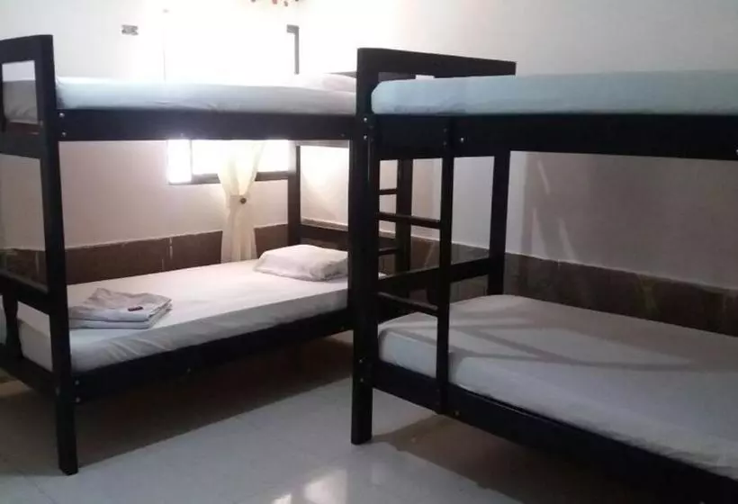 Cactus City Hostel Confort