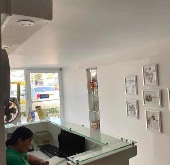 Cactus City Hostel Confort