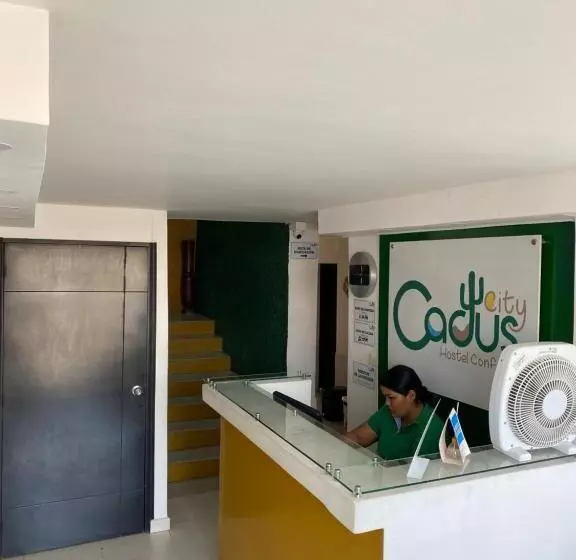 Cactus City Hostel Confort