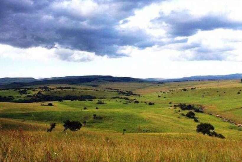 펜션 Thembisi Guesthouse