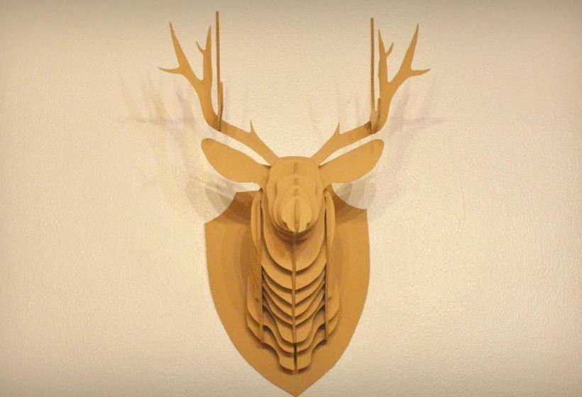 Walker S House Hostel