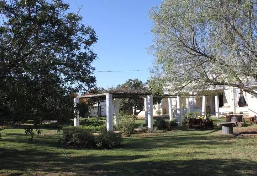 Majatalo 86 On Jubilee