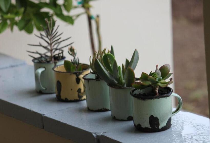 פנסיון 86 On Jubilee