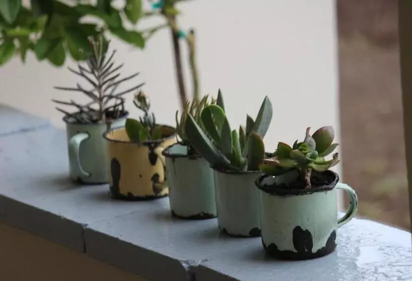 Majatalo 86 On Jubilee