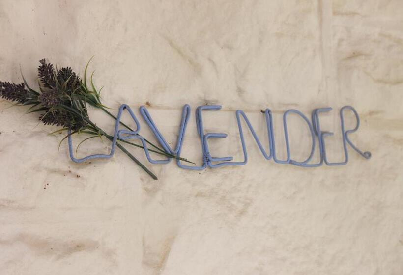 פנסיון 86 On Jubilee