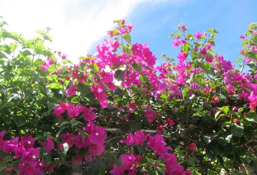 Пансион Casa Di Bravo