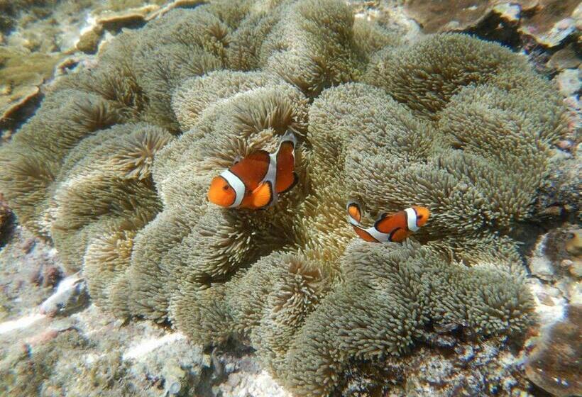 Пансион Casa Di Bravo