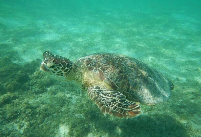 Пансион Casa Di Bravo