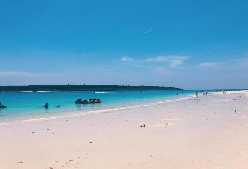 Пансион Casa Di Bravo