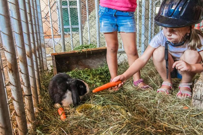 هتل Ferienhof Pfefferbauer