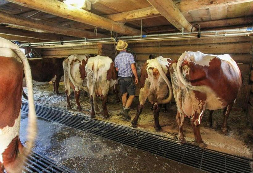 هتل Ferienhof Pfefferbauer