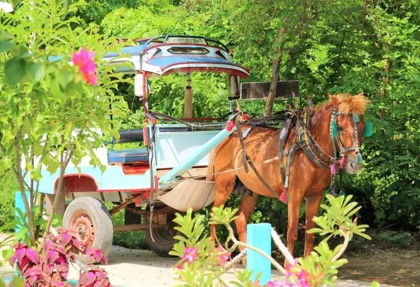 ペンション Meno Suites