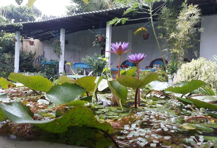 פנסיון Villa Olga