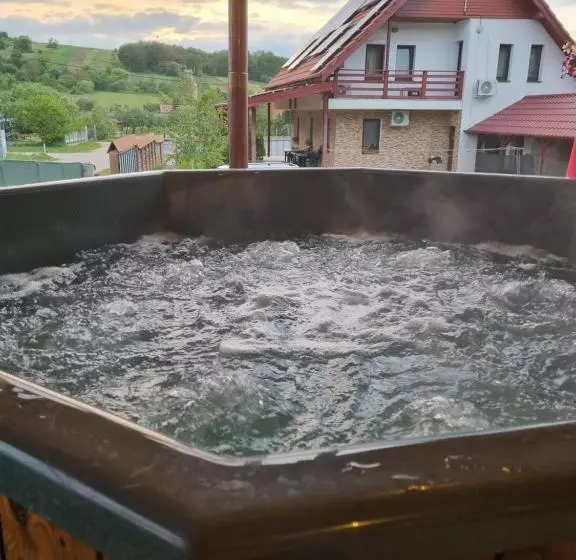 ホテル Pensiunea Agroturistica Havanna